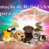 Reiki Celestial para Animais "Nível mestrado" (Online)